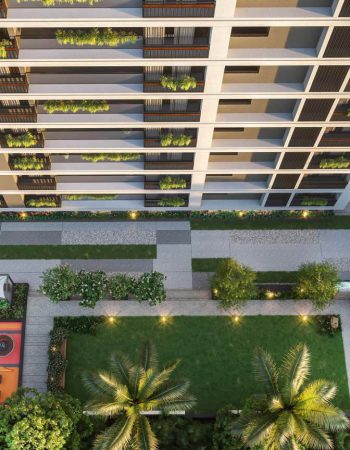 Royal-Relexa-Gold-11