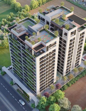 Royal-Relexa-Gold-12